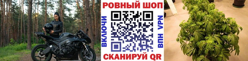 Где найти наркотики Нововоронеж АМФ  Лсд 25  ГАШИШ  КОКАИН  Alpha-PVP  Меф мяу мяу 