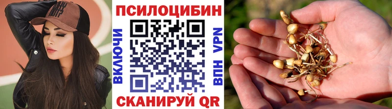 маркетплейс Telegram  купить   блэк спрут ссылки  Нововоронеж  Галлюциногенные грибы Psilocybine cubensis 